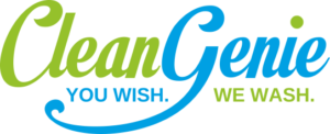 Clean-Genie-You-Wish-We-Wash-1-1