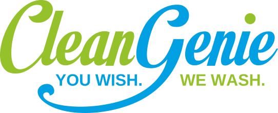 Clean-Genie-You-Wish-We-Wash-1-1